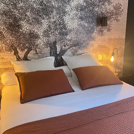 Le Matisse De 60m2 Au Centre De Terrasse Plein Sud